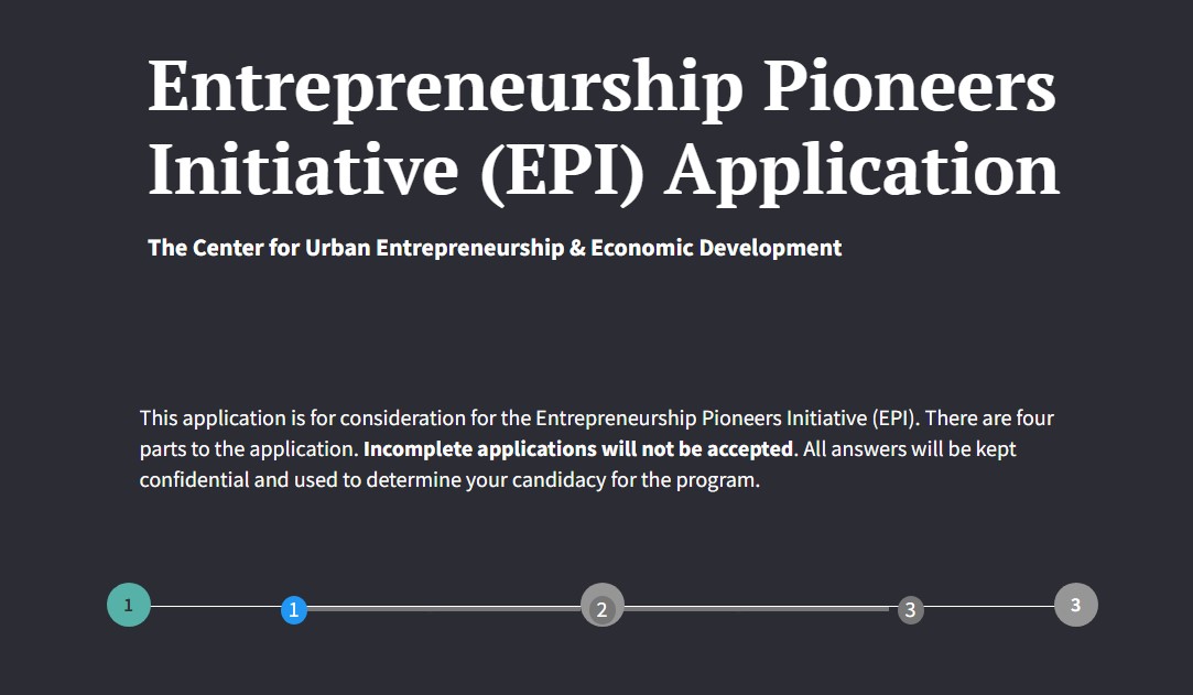 entrepreneurship pioneers initiative epi application 1