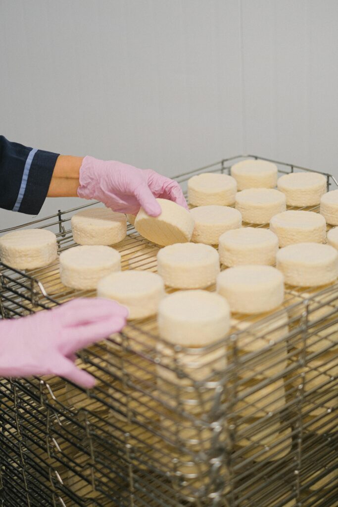 Dairy Runway Program