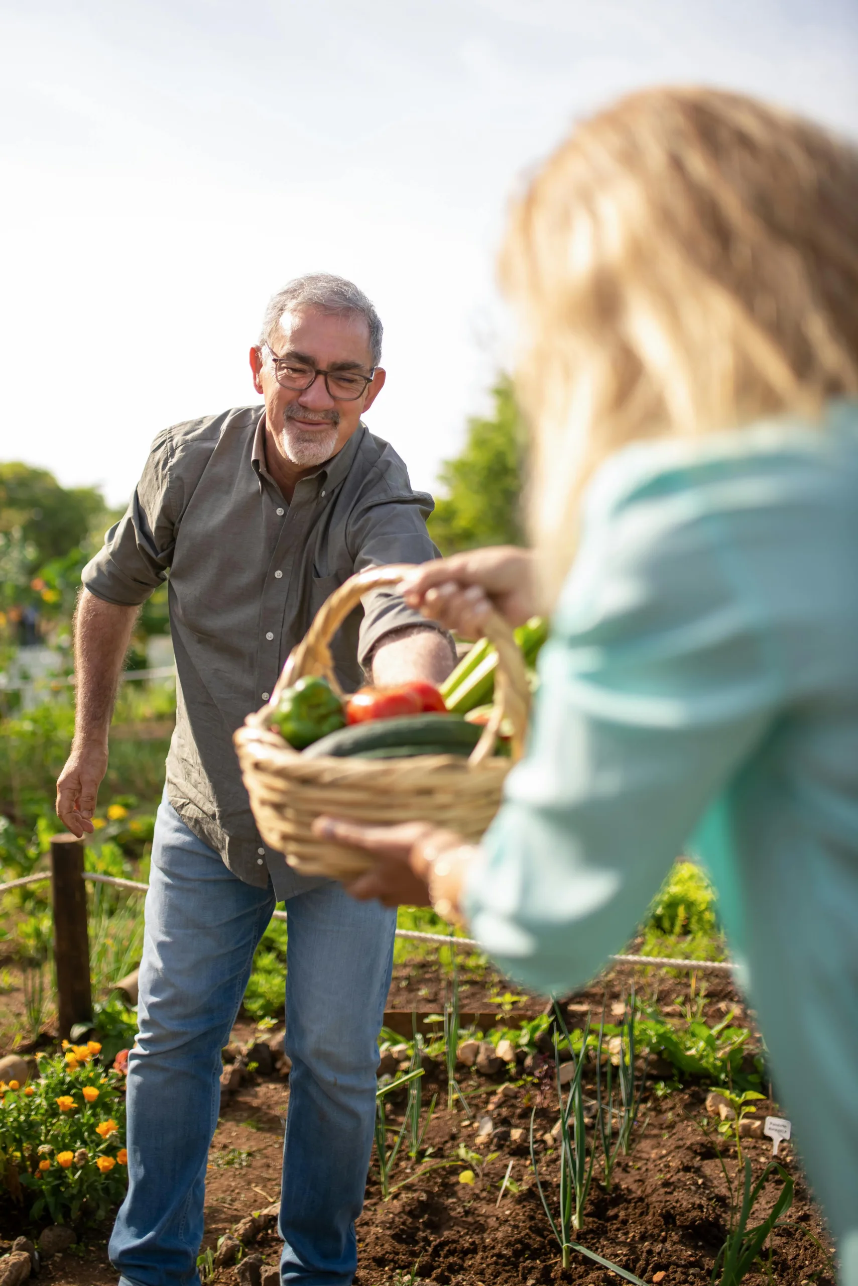 sustainable food systems initiative (sfsi)