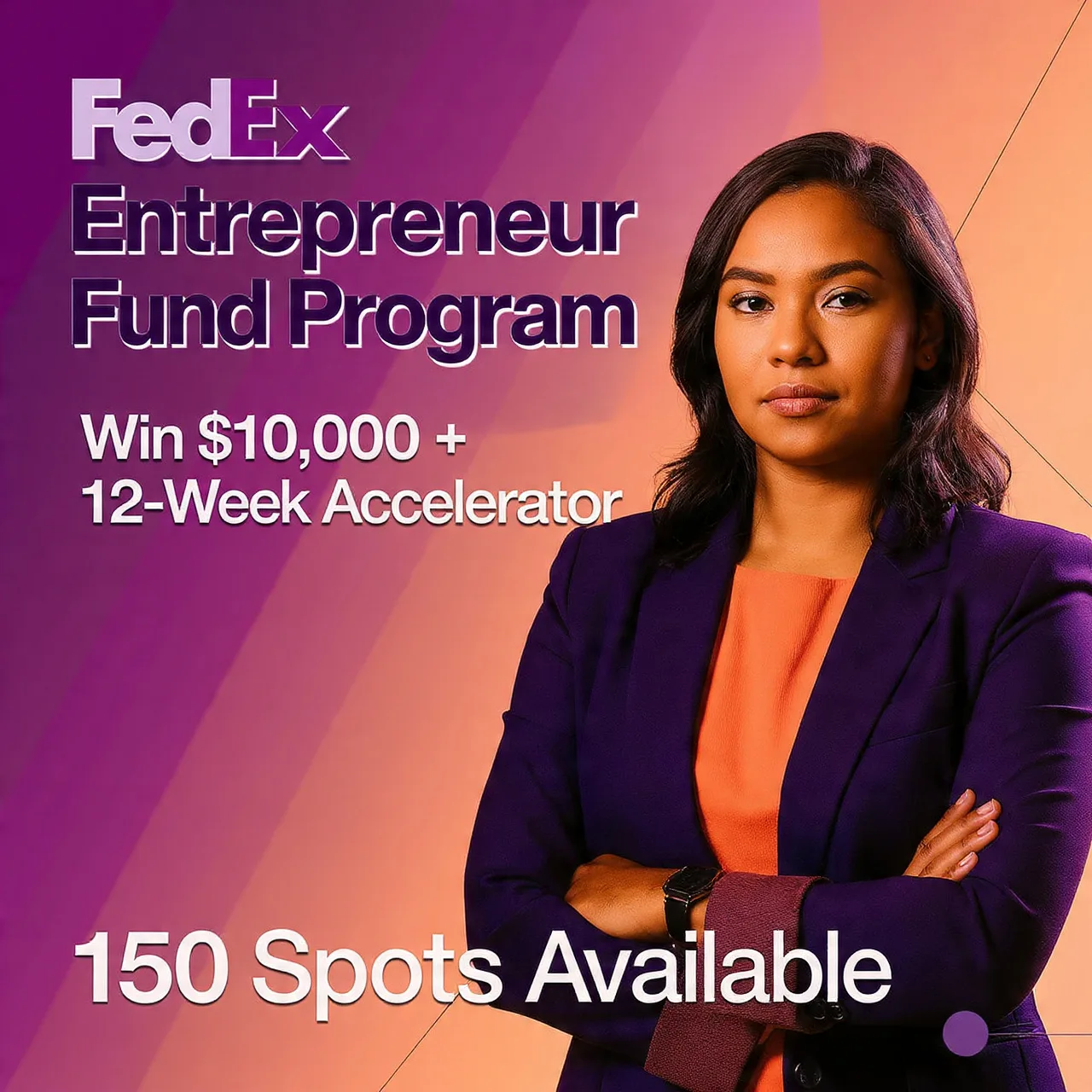 FedEx Entrepreneur Fund Program